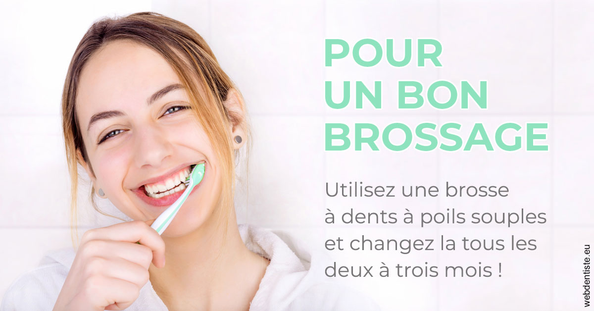 https://dr-nicolas-goossens.chirurgiens-dentistes.fr/Pour un bon brossage 2