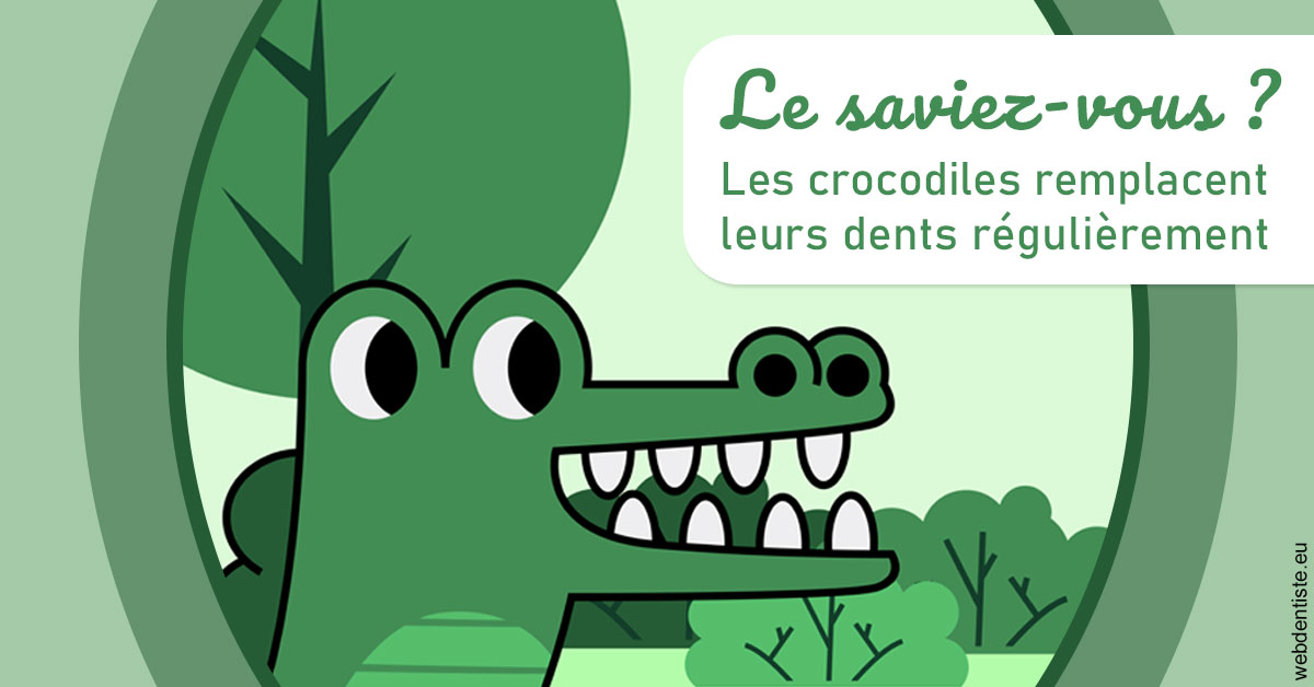 https://dr-nicolas-goossens.chirurgiens-dentistes.fr/Crocodiles 2