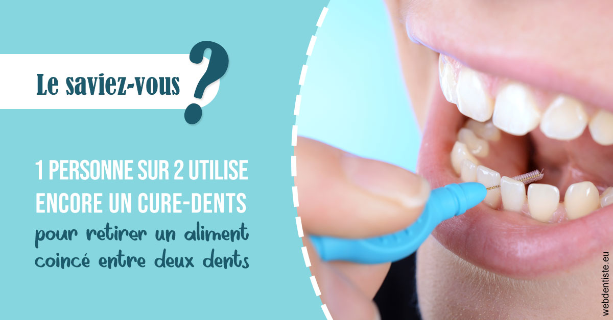 https://dr-nicolas-goossens.chirurgiens-dentistes.fr/Cure-dents 1